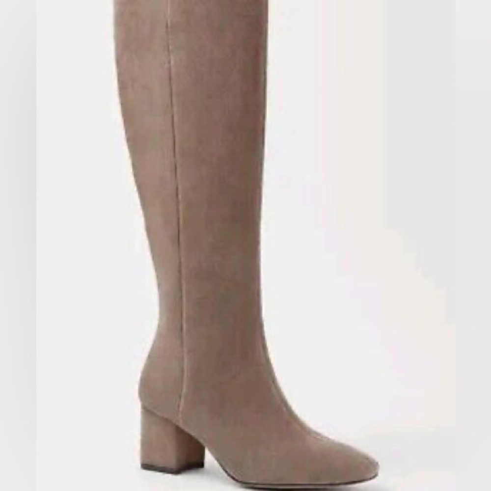 Ann Taylor Boots